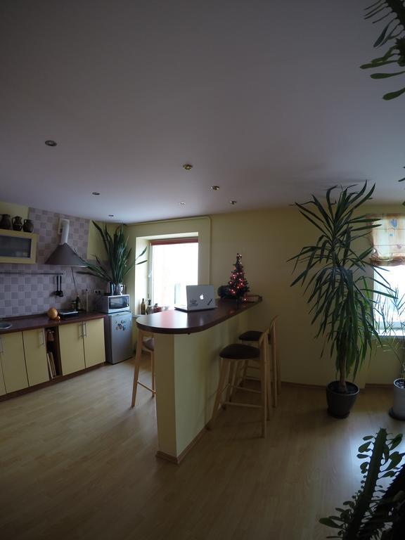 Green Hall Apartment Ignalina Chambre photo